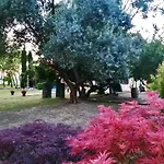 Fetonte * Crespino