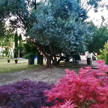Fetonte * Crespino