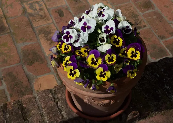 Bed & Breakfast Fetonte *