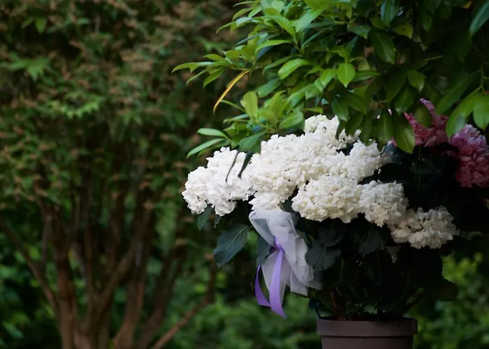 Fetonte Bed & Breakfast