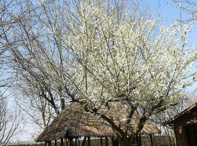 Fetonte Bed and Breakfast *